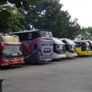 Bus Jogja Bogor - Photo by Tribun Jogja