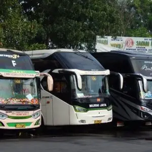 Bus Jogja Magelang - Photo by Railway Enthusiast Digest