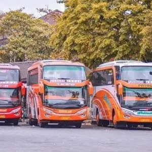 Bus Jogja Purwokerto - Photo by Google