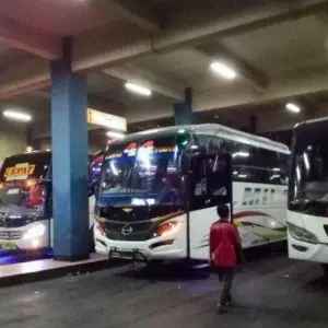 Bus Jogja Solo - Photo by GridOto
