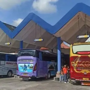 Bus dari Surabaya ke Bali - Photo by Tribun Bali