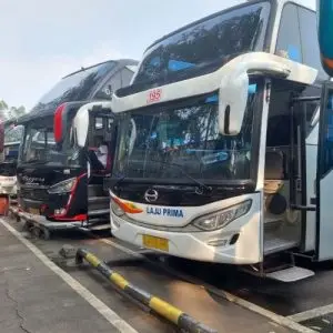 Bus dari Surabaya ke Banyuwangi - Photo by Kompas Money