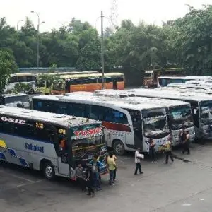 Bus Bali Jakarta - Photo by Republika Online
