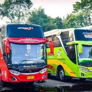 Bus Bali Jogja - Photo by MSN