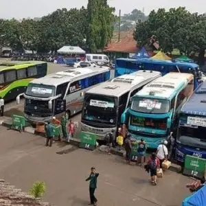 Bus Bali Surabaya - Photo by Google
