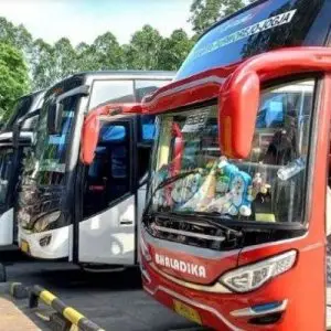 Bus Bandung Tangerang - Photo by Tribun Tangerang
