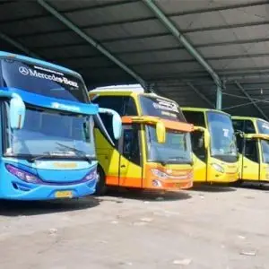 Bus Semarang Cirebon - Photo by Beta News