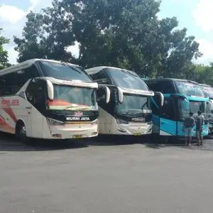 Sleeper Bus Bandung Jogja - Photo by Jogjapolitan