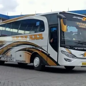 bus jogja jember