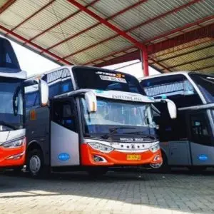 bus jogja palembang
