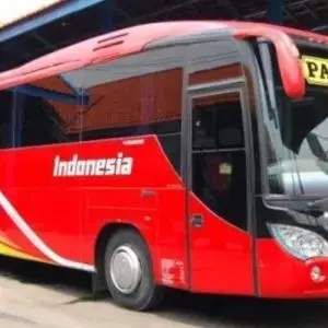 bus surabaya kudus