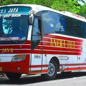 bus surabaya pacitan