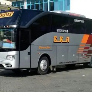 bus surabaya situbondo