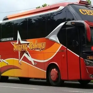 bus surabaya wonosobo