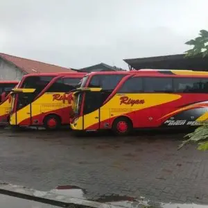 Bus Semarang Jogja - Photo by Dunia Bis