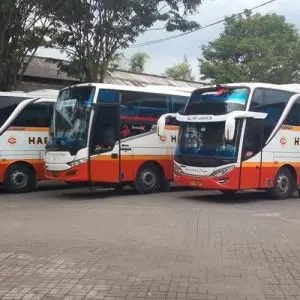 Bus Semarang Surabaya - Photo by Dunia Bus